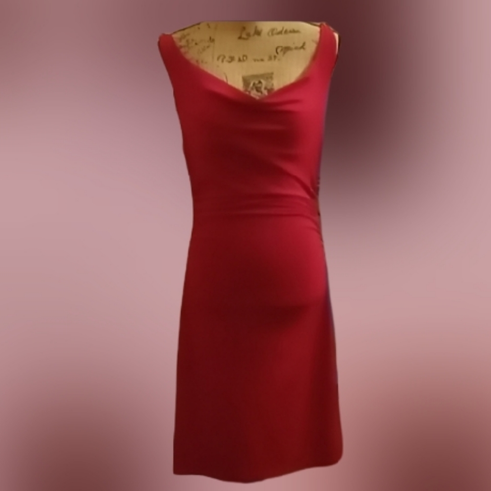 Red Side Ruched Dress - Picture 6 of 6